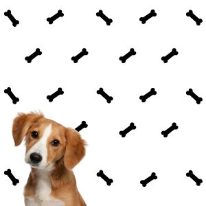 Dog Bone Wall Decal
