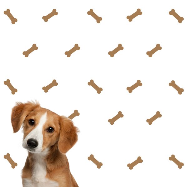 Dog Bone Wall Decal - Image 3