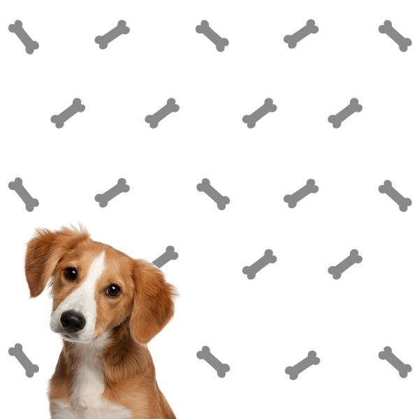 Dog Bone Wall Decal - Image 4