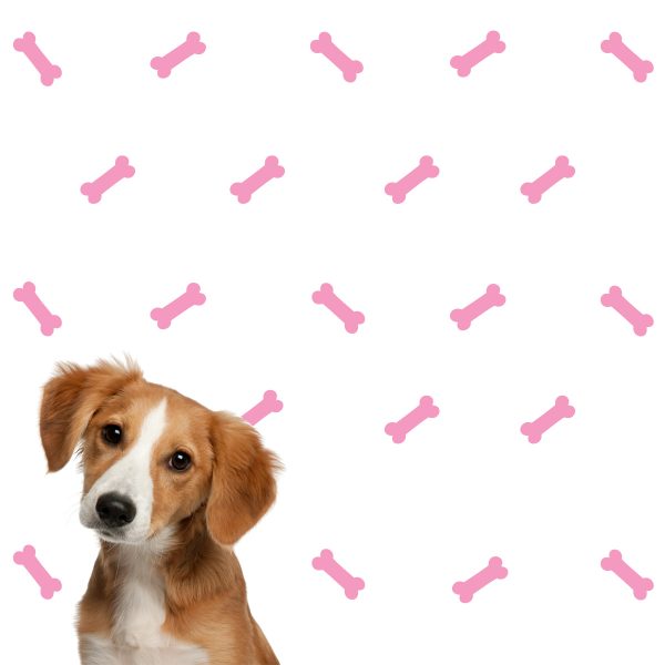 Dog Bone Wall Decal - Image 2