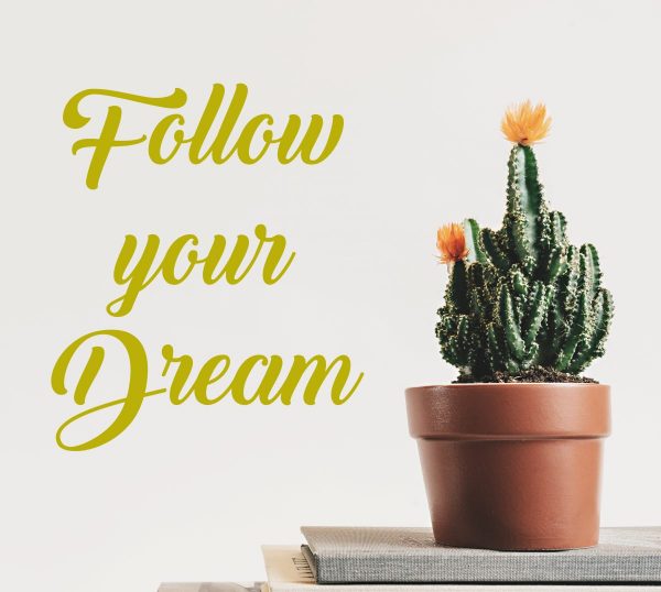 Follow Your Dream Quote Wall Decal - Image 3